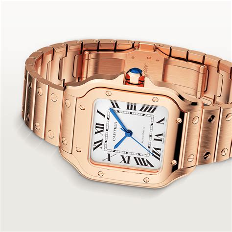 buy cartier nz|cartier watch prices.